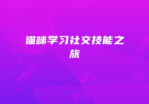 猫咪学习社交技能之旅