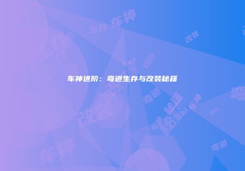 车神进阶：弯道生存与改装秘籍
