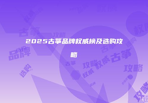 2025古筝品牌权威榜及选购攻略