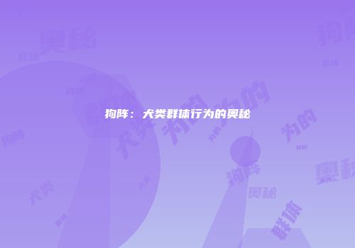 狗阵：犬类群体行为的奥秘
