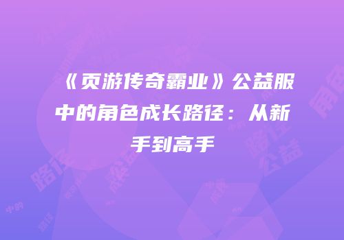 《页游传奇霸业》公益服中的角色成长路径：从新手到高手