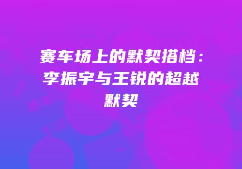 赛车场上的默契搭档：李振宇与王锐的超越默契