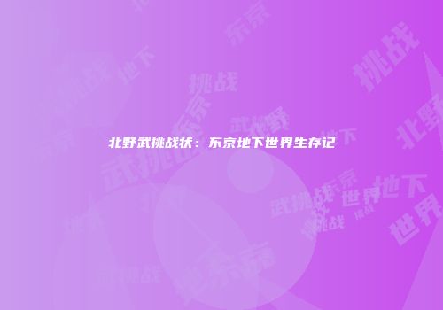 北野武挑战状：东京地下世界生存记