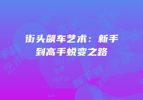 街头飙车艺术：新手到高手蜕变之路