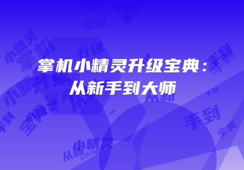掌机小精灵升级宝典：从新手到大师