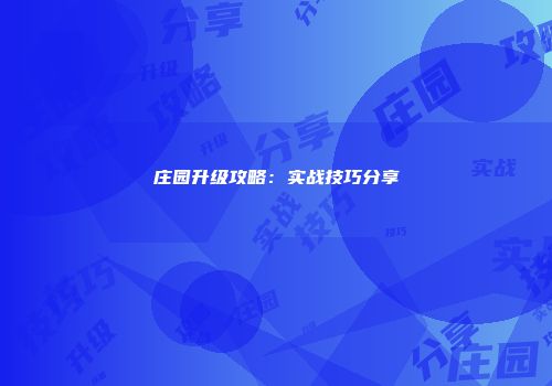 庄园升级攻略：实战技巧分享