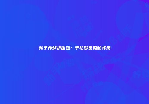 新手养蜂初体验：手忙脚乱探秘蜂巢