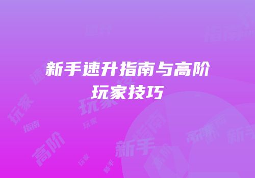新手速升指南与高阶玩家技巧