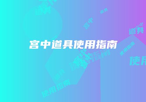 宫中道具使用指南