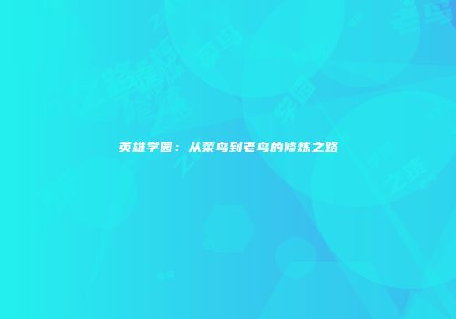 英雄学园：从菜鸟到老鸟的修炼之路