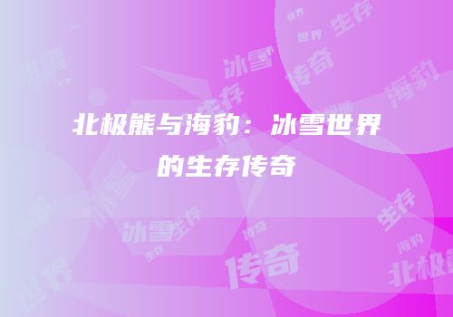 北极熊与海豹：冰雪世界的生存传奇