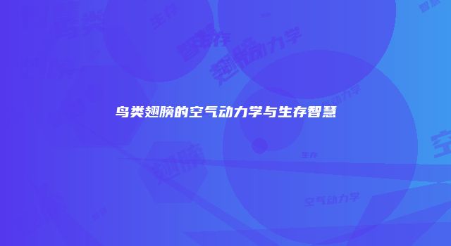 鸟类翅膀的空气动力学与生存智慧