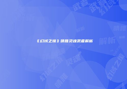 《幻域之境》晴雅灵魂武者解析