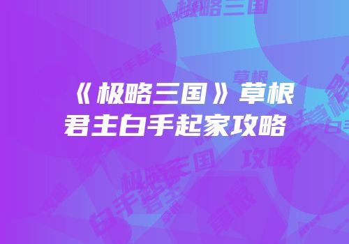 《极略三国》草根君主白手起家攻略