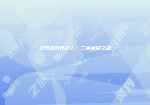 灵界阴阳代理人：三夜侦探之旅