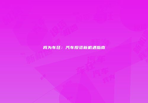 我为车狂：汽车投资新机遇指南