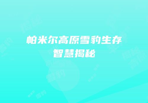 帕米尔高原雪豹生存智慧揭秘