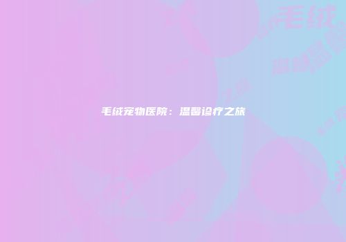 毛绒宠物医院：温馨诊疗之旅