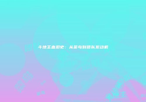 斗地主血泪史：从菜鸟到团队发动机