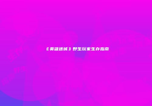 《英雄迷城》野生玩家生存指南