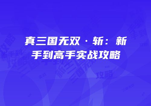真三国无双·斩：新手到高手实战攻略