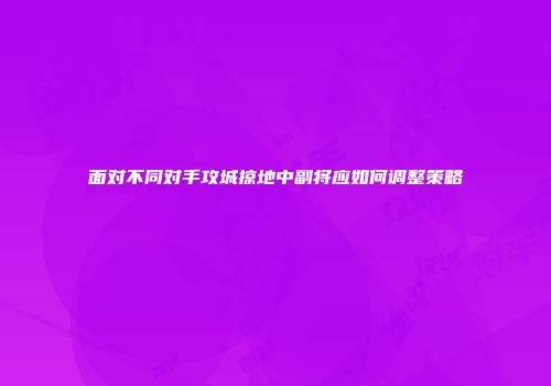 面对不同对手攻城掠地中副将应如何调整策略