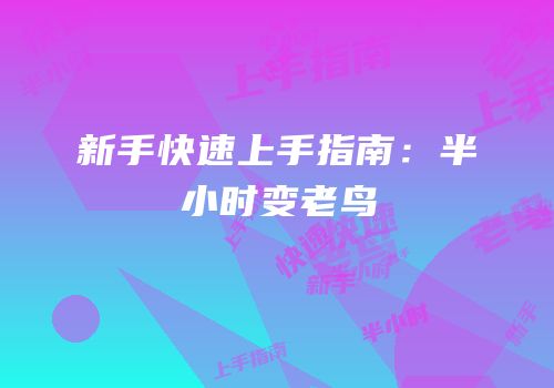 新手快速上手指南：半小时变老鸟