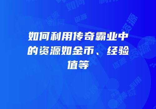 如何利用传奇霸业中的资源如金币、经验值等