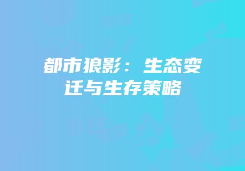 都市狼影：生态变迁与生存策略