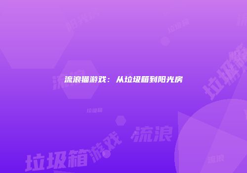 流浪猫游戏：从垃圾箱到阳光房