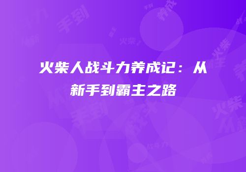 火柴人战斗力养成记：从新手到霸主之路