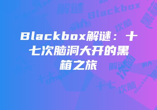 Blackbox解谜：十七次脑洞大开的黑箱之旅