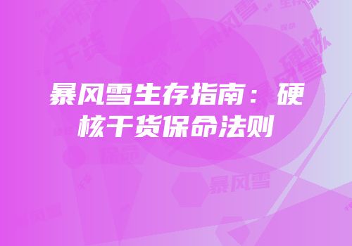 暴风雪生存指南：硬核干货保命法则