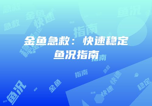 金鱼急救：快速稳定鱼况指南