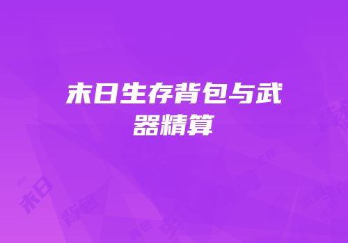末日生存背包与武器精算