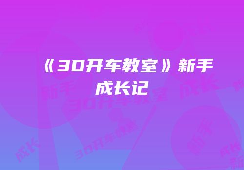 《3D开车教室》新手成长记