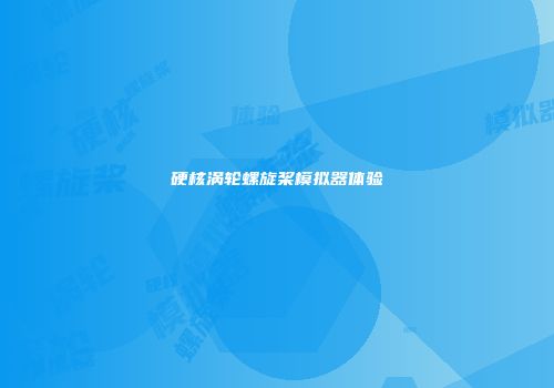 硬核涡轮螺旋桨模拟器体验