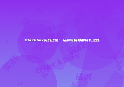 Blackbox实战法则：从菜鸟到神的成长之路