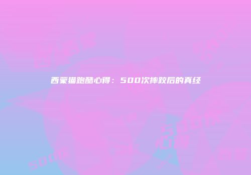 西蒙猫跑酷心得：500次摔跤后的真经