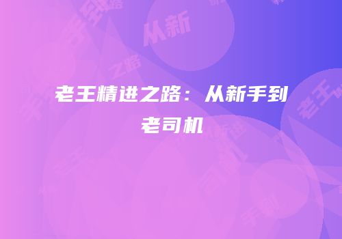 老王精进之路：从新手到老司机
