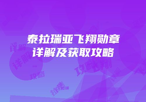 泰拉瑞亚飞翔勋章详解及获取攻略