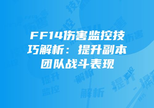 FF14伤害监控技巧解析：提升副本团队战斗表现