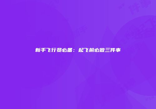 新手飞行员必备：起飞前必做三件事