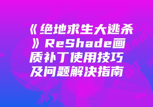 《绝地求生大逃杀》ReShade画质补丁使用技巧及问题解决指南