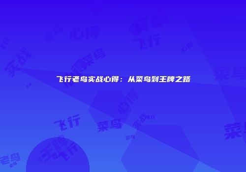 飞行老鸟实战心得：从菜鸟到王牌之路