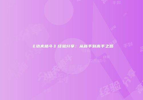 《功夫格斗》经验分享：从新手到高手之路