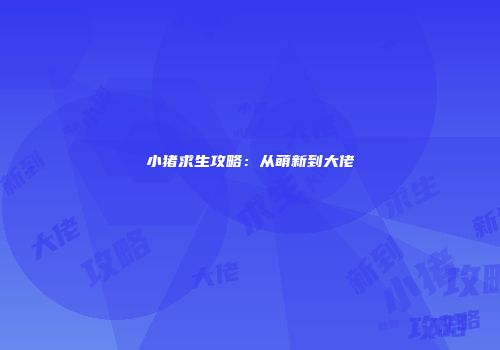 小猪求生攻略：从萌新到大佬