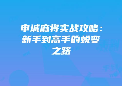 申城麻将实战攻略：新手到高手的蜕变之路