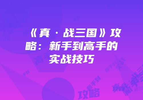 《真·战三国》攻略：新手到高手的实战技巧