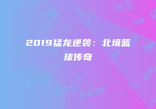 2019猛龙逆袭：北境篮球传奇